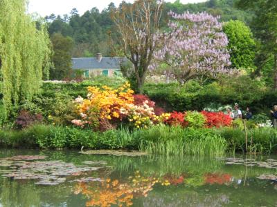 the waterlilly pond in monet's garden